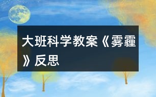 大班科學教案《霧霾》反思