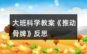 大班科學教案《推動骨牌》反思