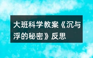 大班科學(xué)教案《沉與浮的秘密》反思