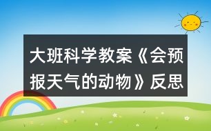 大班科學(xué)教案《會預(yù)報天氣的動物》反思