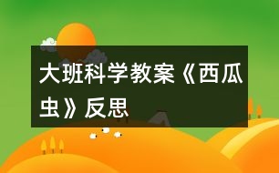 大班科學(xué)教案《西瓜蟲(chóng)》反思