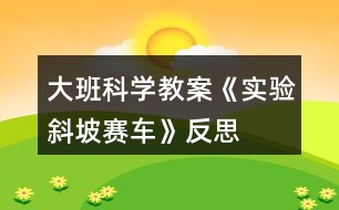 大班科學(xué)教案《實(shí)驗(yàn)斜坡賽車(chē)》反思