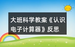 大班科學(xué)教案《認(rèn)識(shí)電子計(jì)算器》反思