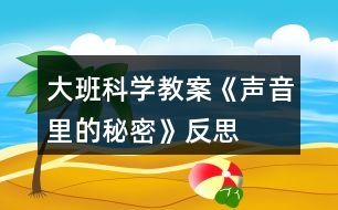 大班科學(xué)教案《聲音里的秘密》反思