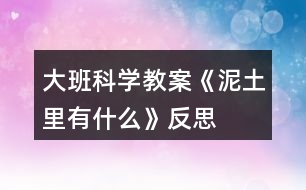 大班科學教案《泥土里有什么》反思