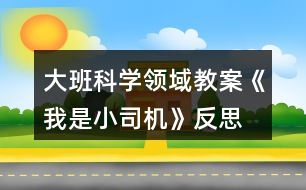 大班科學領域教案《我是小司機》反思