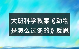 大班科學(xué)教案《動物是怎么過冬的》反思