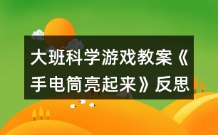 大班科學游戲教案《手電筒亮起來》反思