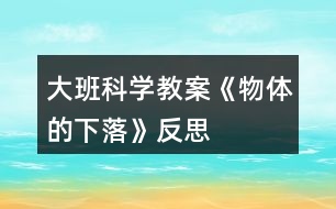 大班科學(xué)教案《物體的下落》反思