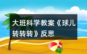 大班科學(xué)教案《球兒轉(zhuǎn)轉(zhuǎn)轉(zhuǎn)》反思