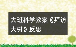 大班科學教案《拜訪大樹》反思