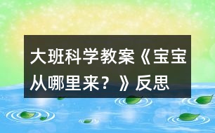 大班科學(xué)教案《寶寶從哪里來(lái)？》反思