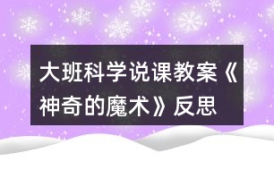 大班科學說課教案《神奇的魔術(shù)》反思