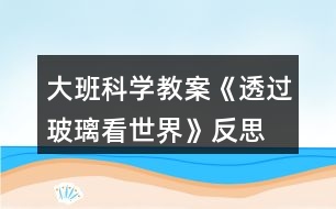 大班科學教案《透過玻璃看世界》反思