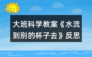 大班科學(xué)教案《水流到別的杯子去》反思