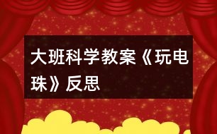 大班科學(xué)教案《玩電珠》反思