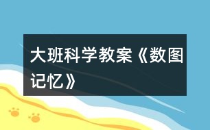 大班科學教案《數(shù)圖記憶》