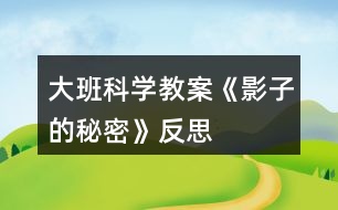 大班科學教案《影子的秘密》反思