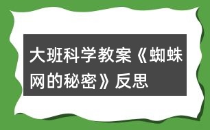 大班科學教案《蜘蛛網(wǎng)的秘密》反思