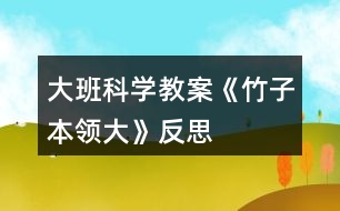 大班科學(xué)教案《竹子本領(lǐng)大》反思