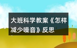 大班科學(xué)教案《怎樣減少噪音》反思