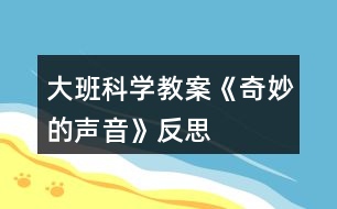 大班科學(xué)教案《奇妙的聲音》反思