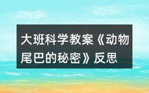 大班科學(xué)教案《動(dòng)物尾巴的秘密》反思