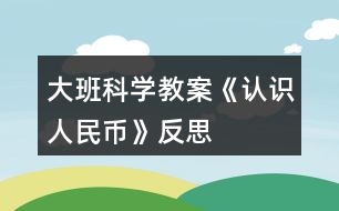 大班科學(xué)教案《認(rèn)識(shí)人民幣》反思