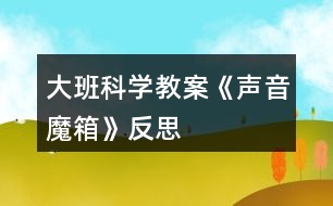 大班科學(xué)教案《聲音魔箱》反思