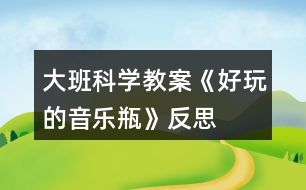 大班科學教案《好玩的音樂瓶》反思