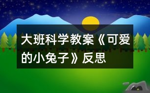 大班科學(xué)教案《可愛的小兔子》反思