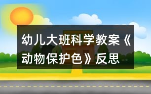 幼兒大班科學(xué)教案《動物保護色》反思