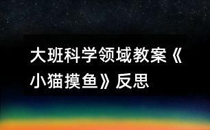 大班科學領域教案《小貓摸魚》反思