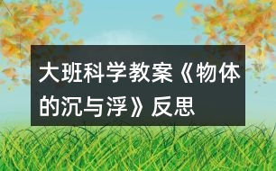 大班科學教案《物體的沉與浮》反思