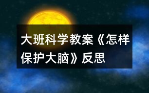 大班科學教案《怎樣保護大腦》反思