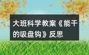 大班科學(xué)教案《能干的吸盤鉤》反思