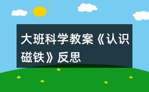 大班科學教案《認識磁鐵》反思