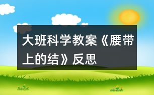 大班科學教案《腰帶上的“結(jié)”》反思