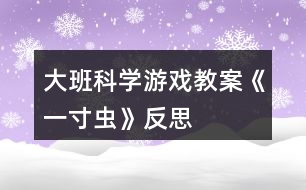 大班科學(xué)游戲教案《一寸蟲》反思