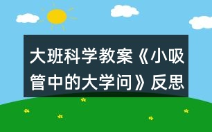 大班科學教案《小吸管中的大學問》反思