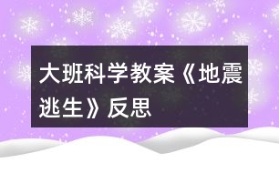 大班科學(xué)教案《地震逃生》反思