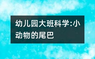 幼兒園大班科學(xué):小動物的尾巴