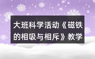 大班科學(xué)活動《磁鐵的相吸與相斥》教學(xué)設(shè)計活動反思