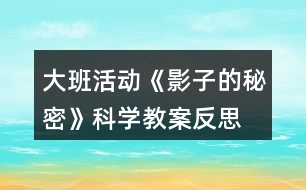 大班活動《影子的秘密》科學(xué)教案反思