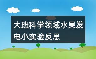 大班科學(xué)領(lǐng)域水果發(fā)電小實(shí)驗(yàn)反思