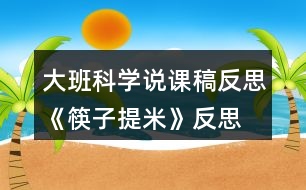 大班科學(xué)說課稿反思《筷子提米》反思