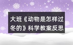 大班《動(dòng)物是怎樣過(guò)冬的》科學(xué)教案反思