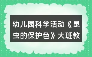 幼兒園科學活動《昆蟲的保護色》大班教案反思