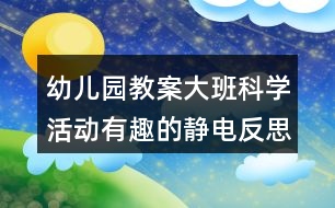 幼兒園教案大班科學(xué)活動有趣的靜電反思