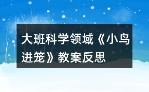 大班科學(xué)領(lǐng)域《小鳥進籠》教案反思